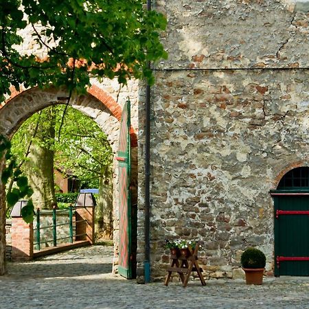 Wasserburg Zu Gommern Esterno foto